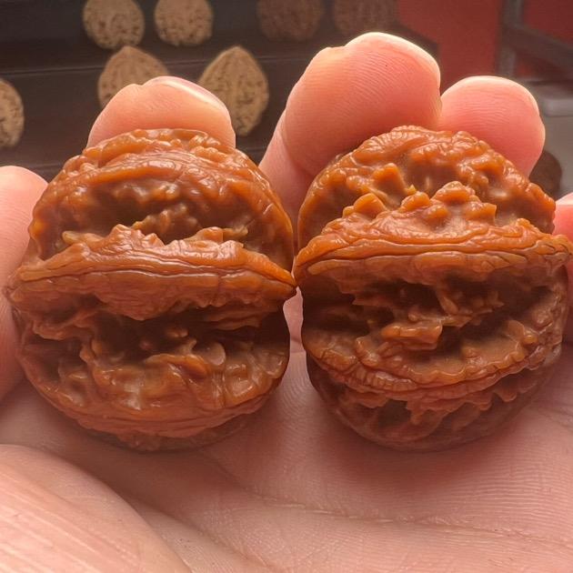 秦岭文玩核桃🍑