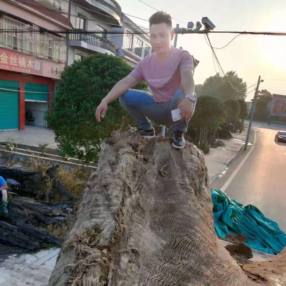 乌木金丝楠～徐小江