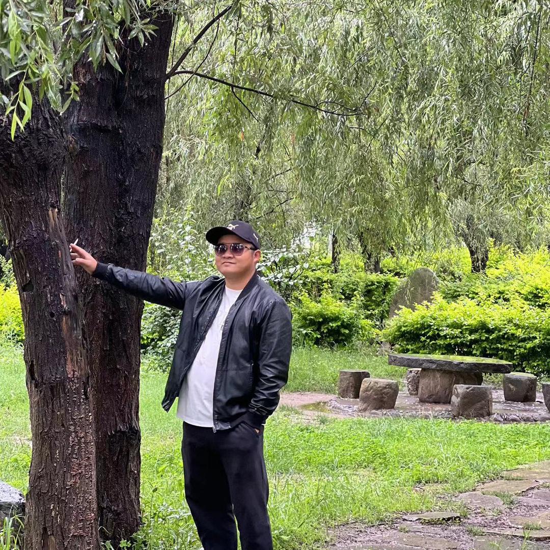 @回头客  （星琳景观石）