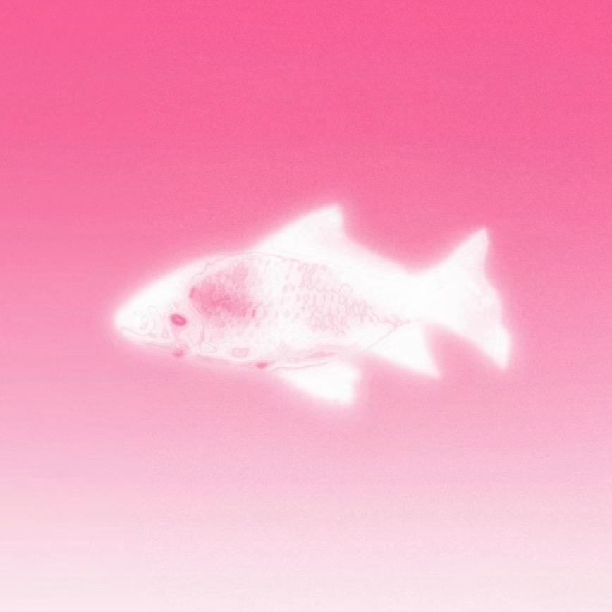椰椰歪优