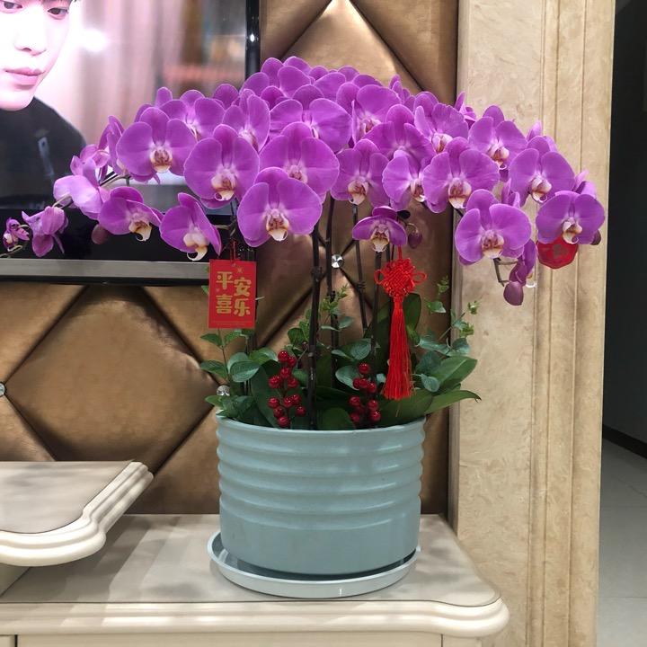 宗卫民