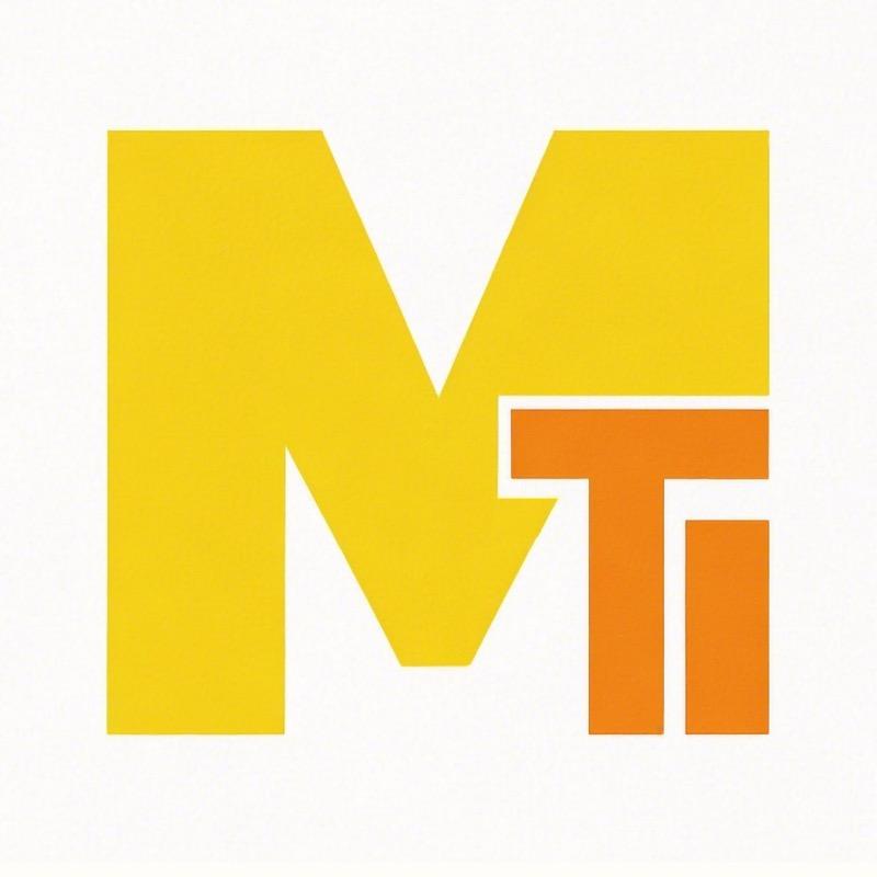 拼积木的銮先生