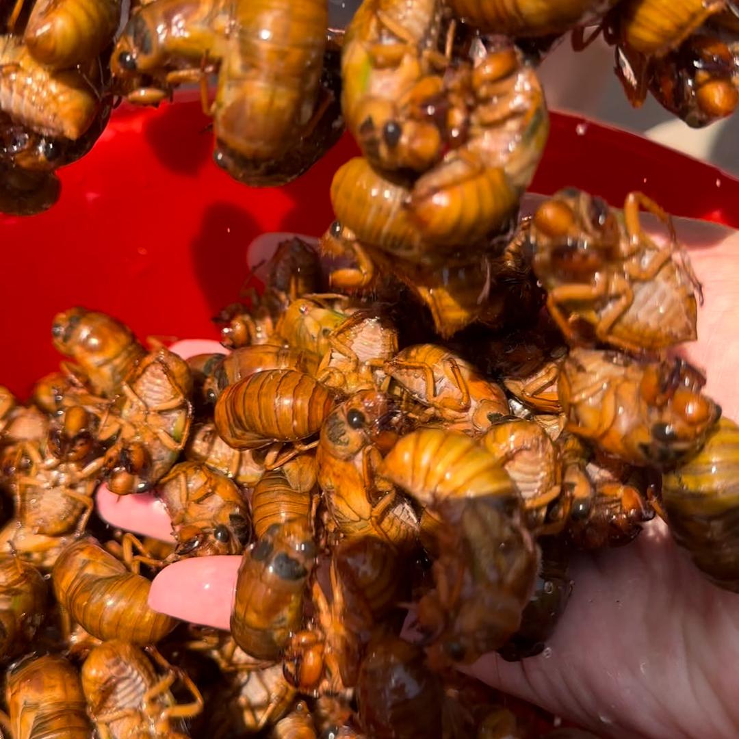 山石勇农副产品生鲜店