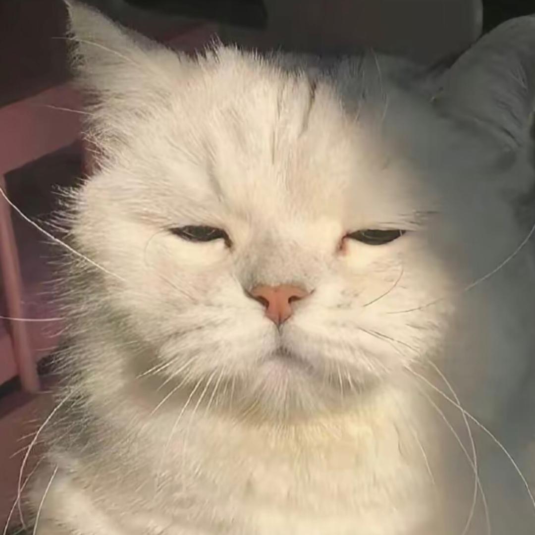 🧀