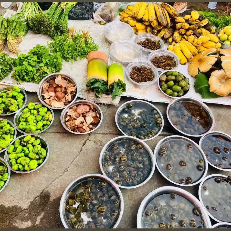 80961144026的头像