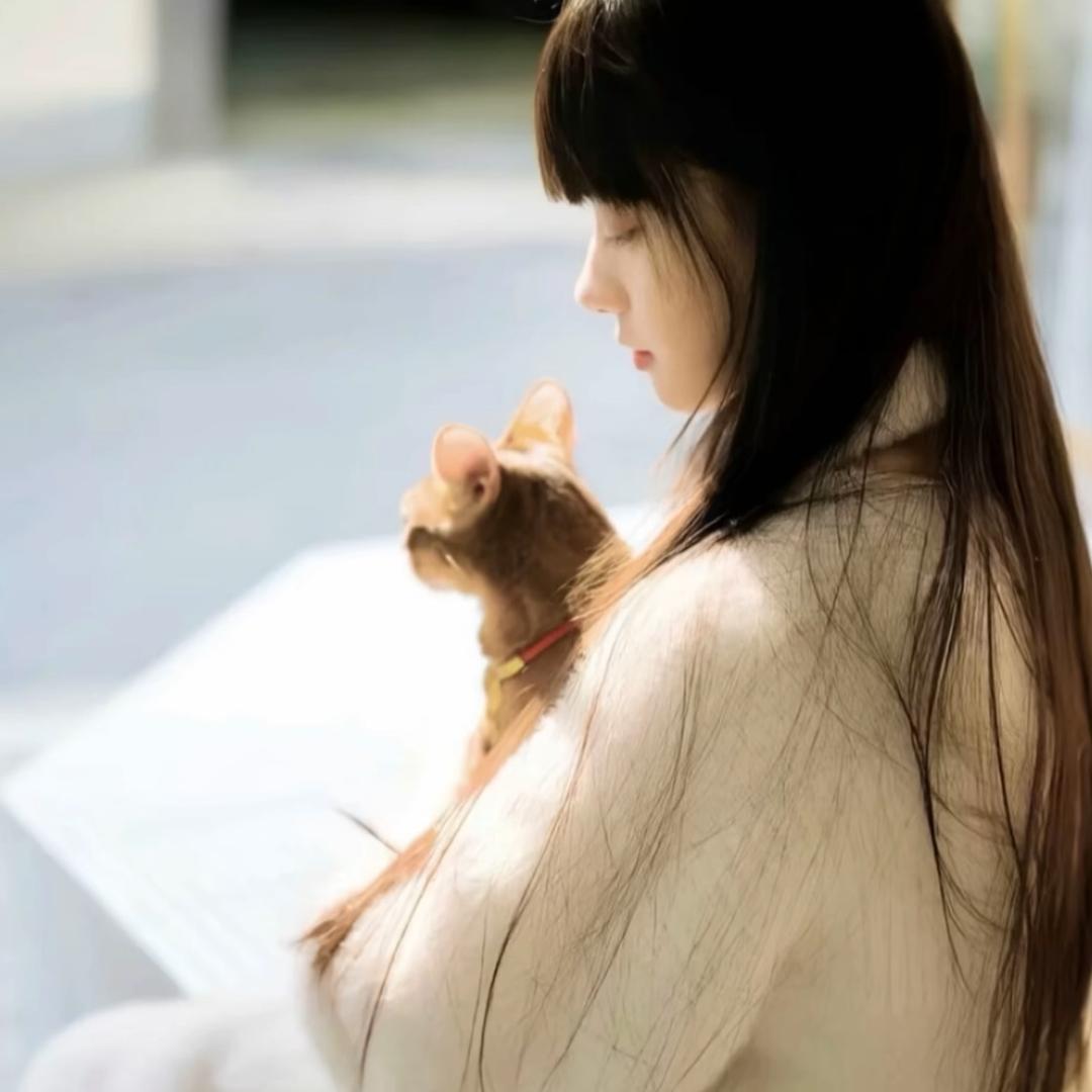 ㅤㅤㅤㅤㅤㅤ       ㅤㅤㅤ