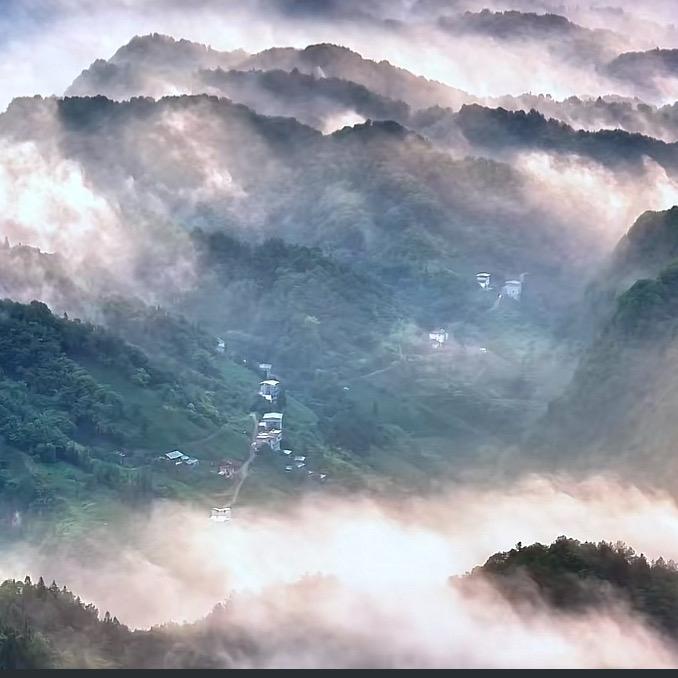 豪圣