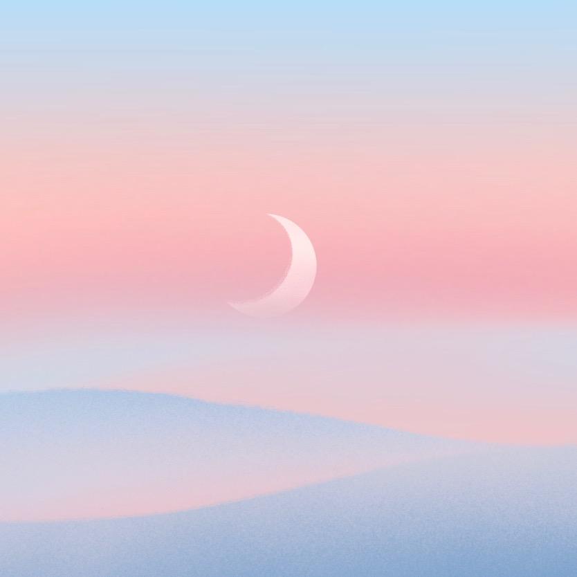 森贰猫