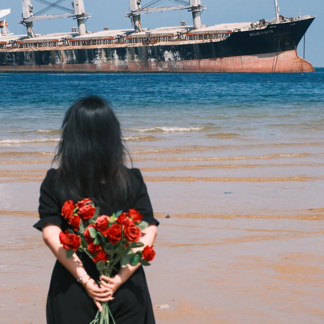 小晴🌻