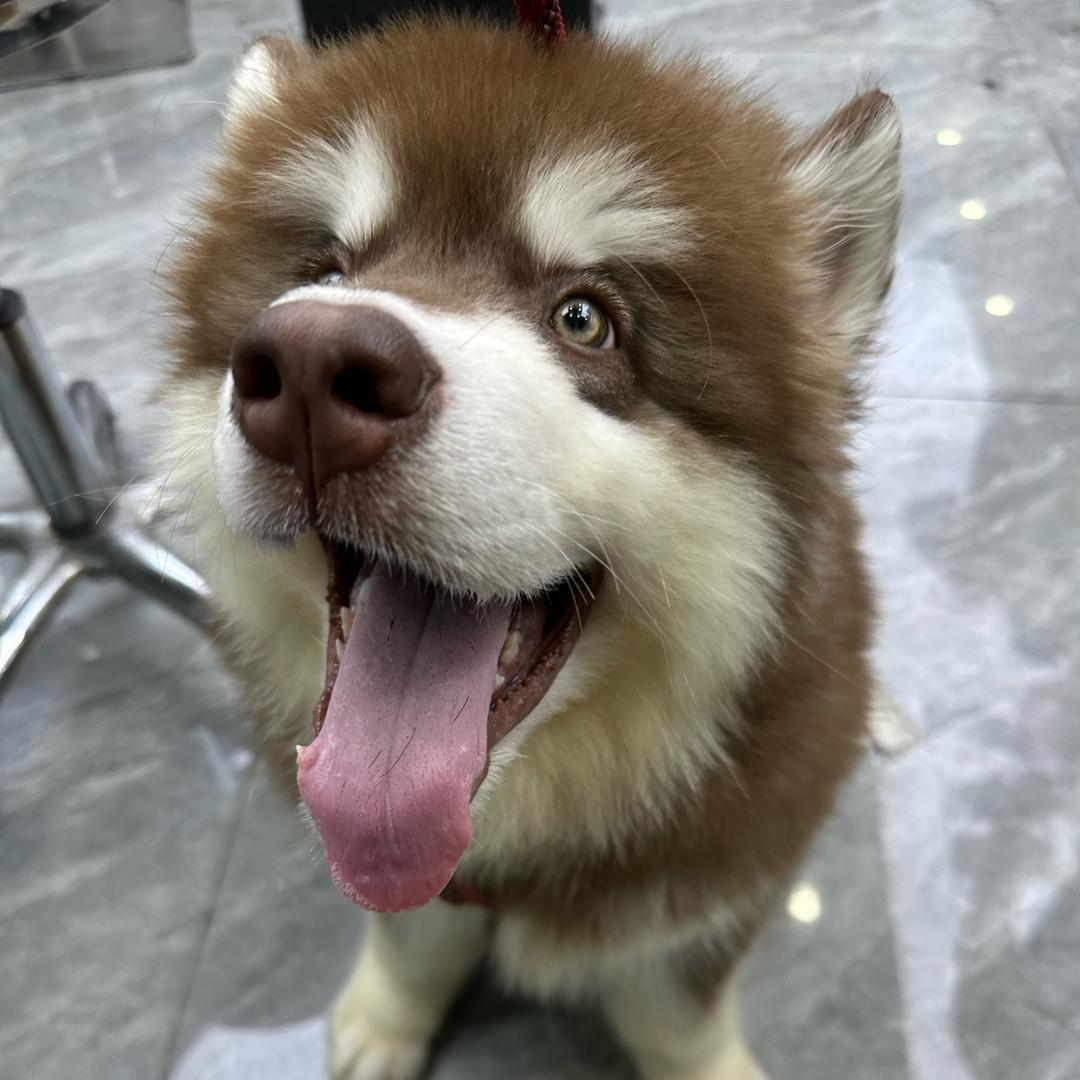 六玥