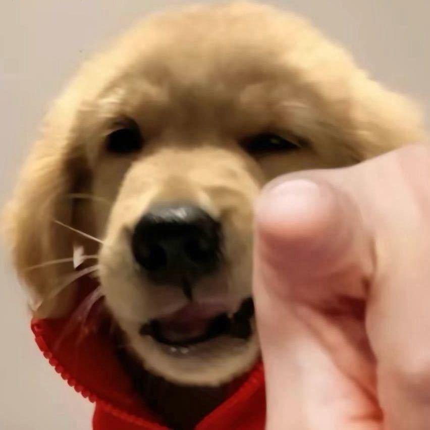 宇拽拽u