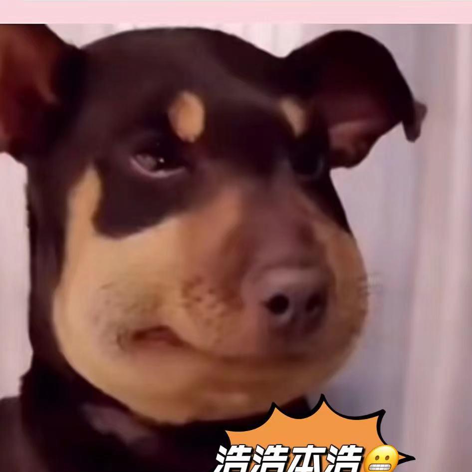 禅游浩浩（古德)