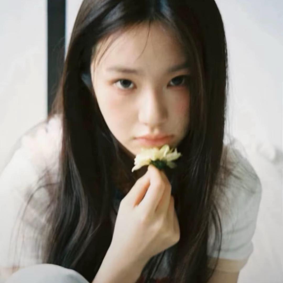 老坛杉菜