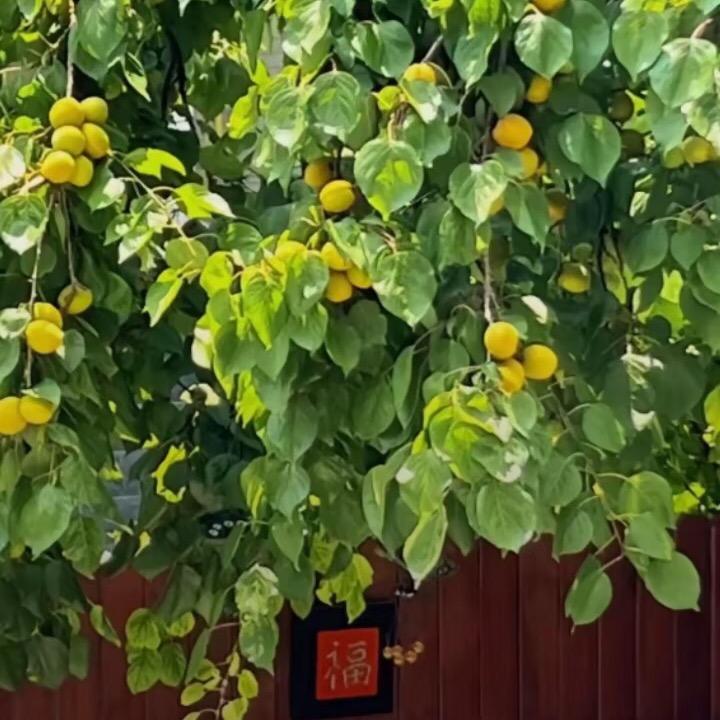 我心向阳『成长印记』