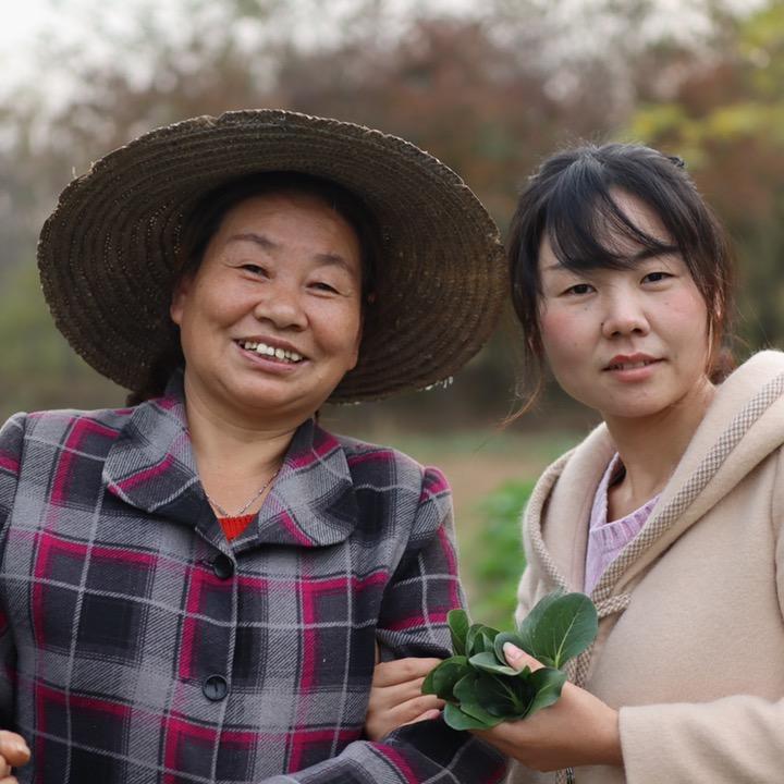 玲峰旗舰店