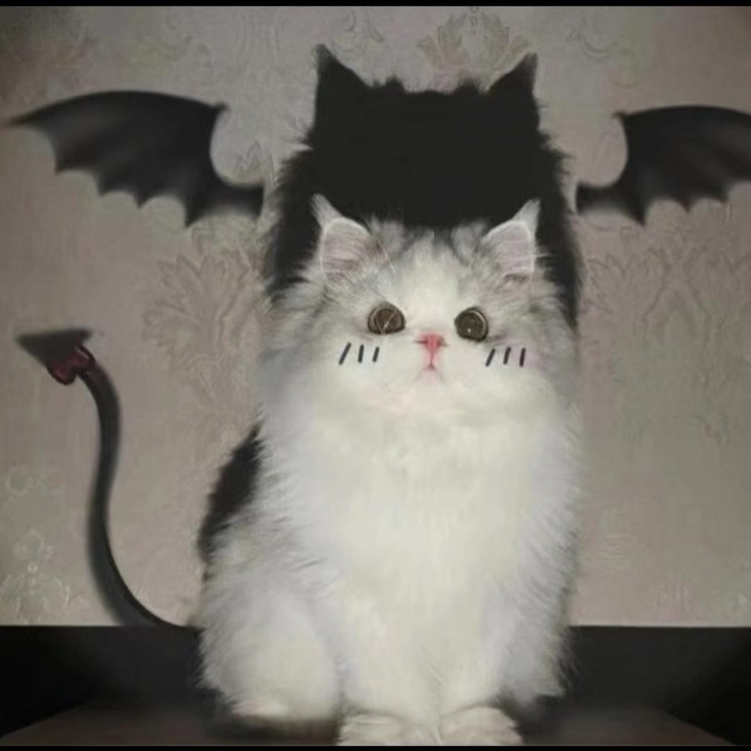 我是天使我保证只是偶尔点坏