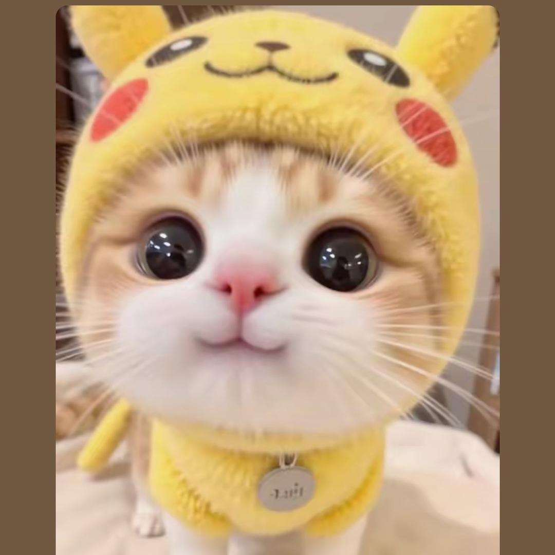 ✨青丝