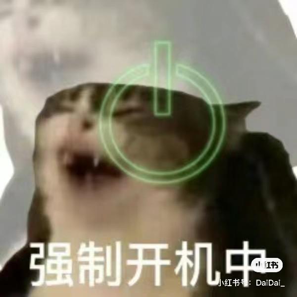 飞奴