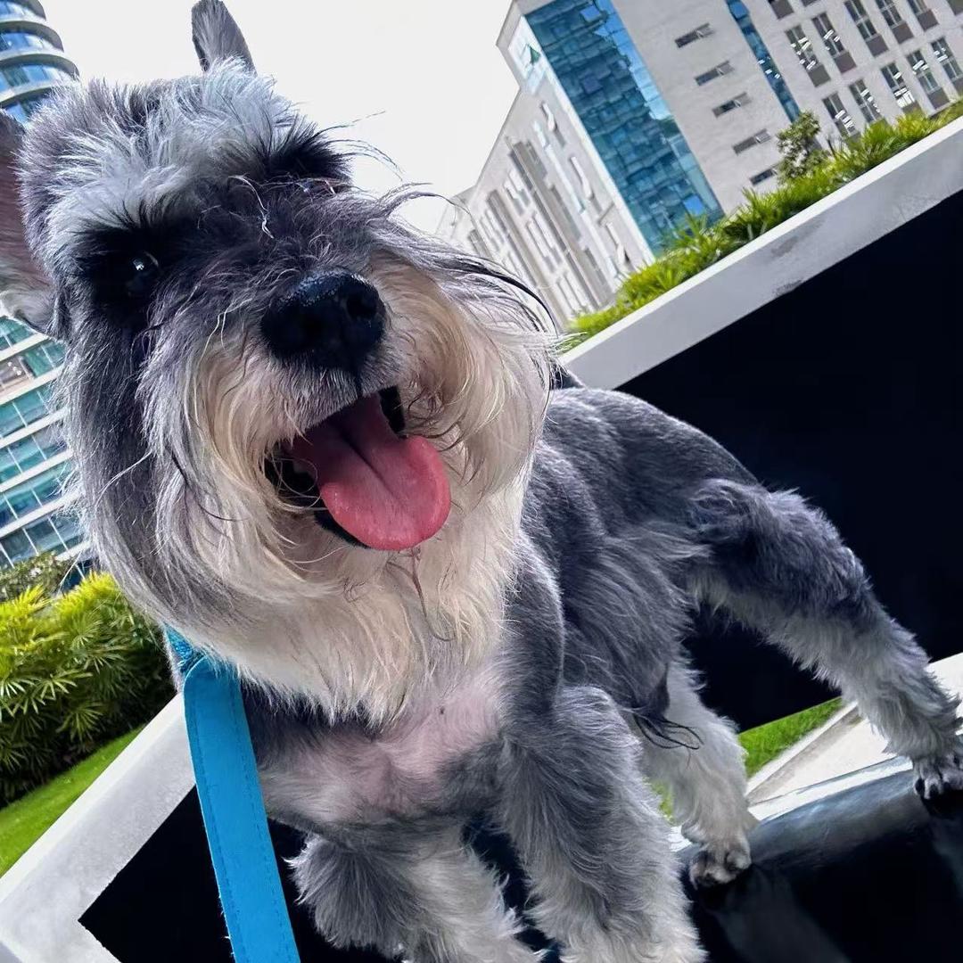 豆豆是个小乖宝