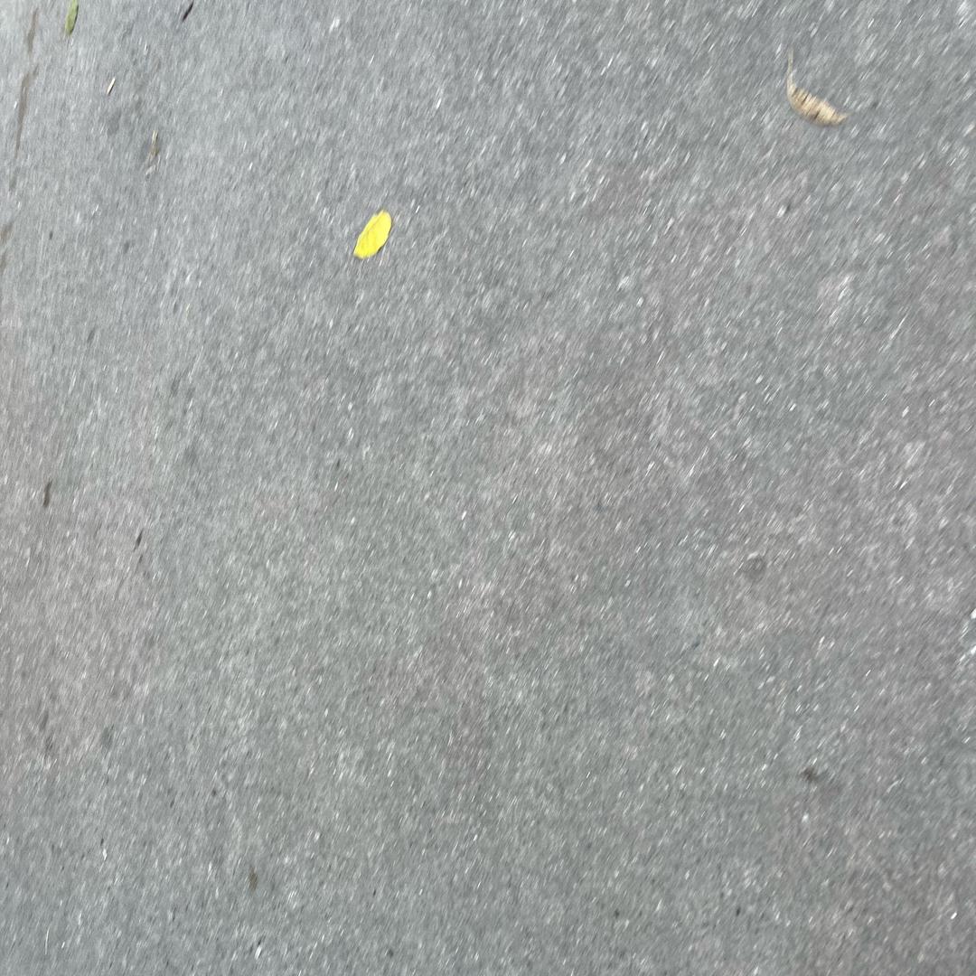 OvO杨帆❤️上岸