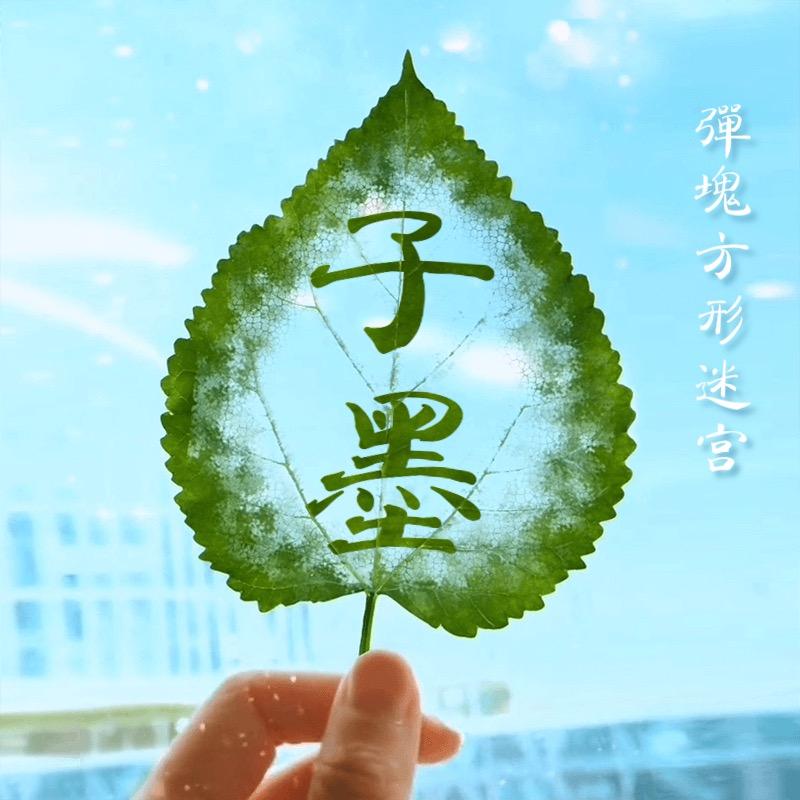 子墨（音乐方块）