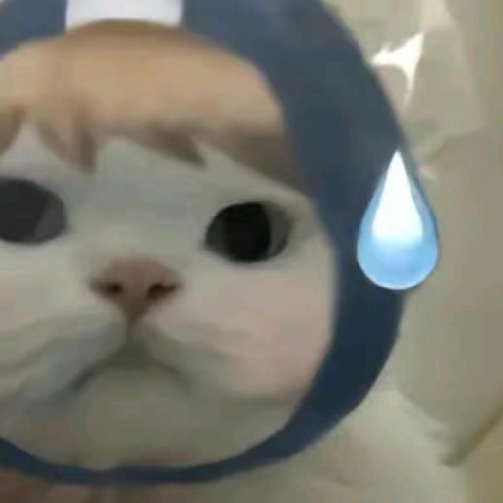 陈某