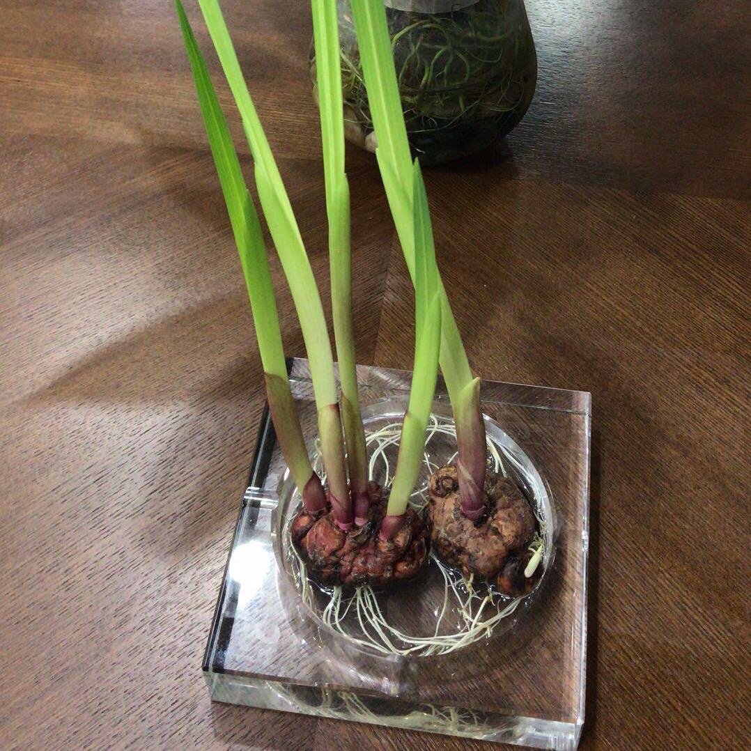 渔乐人生   虎子哥