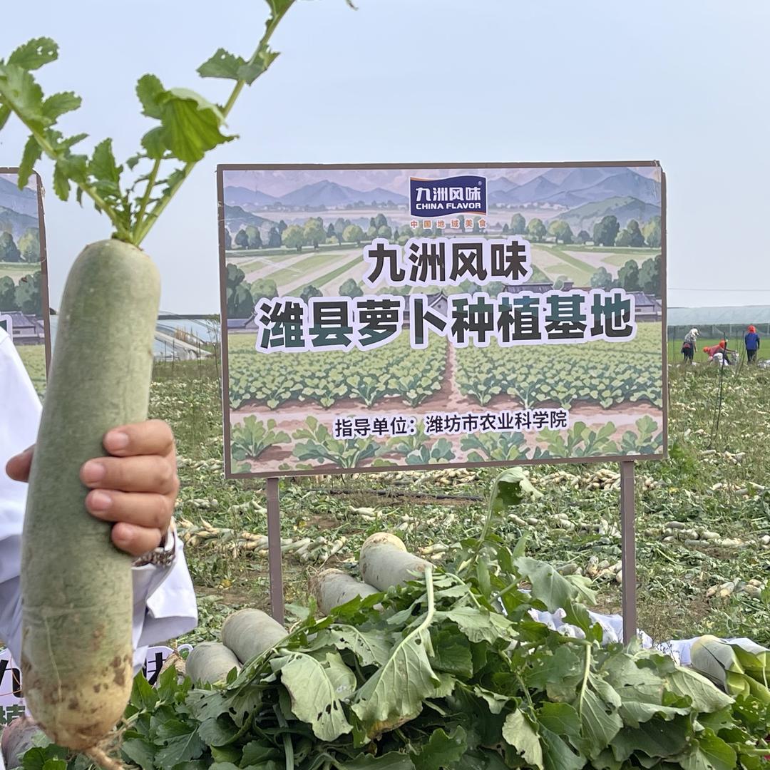 九洲风味