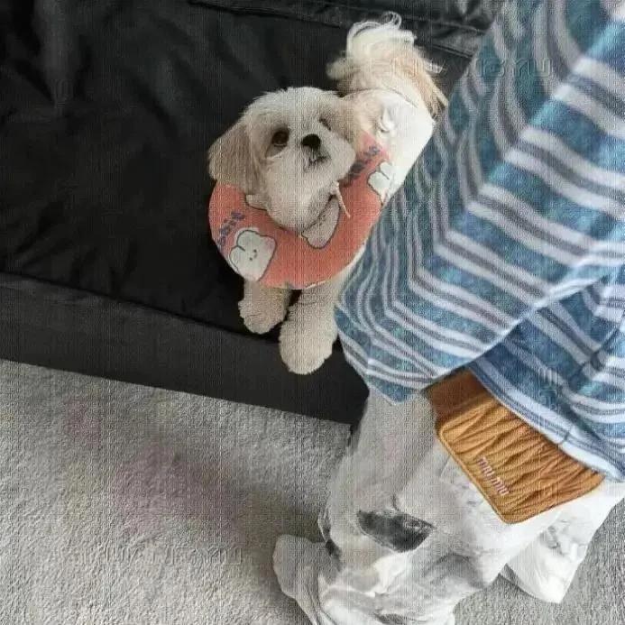 橙Coco