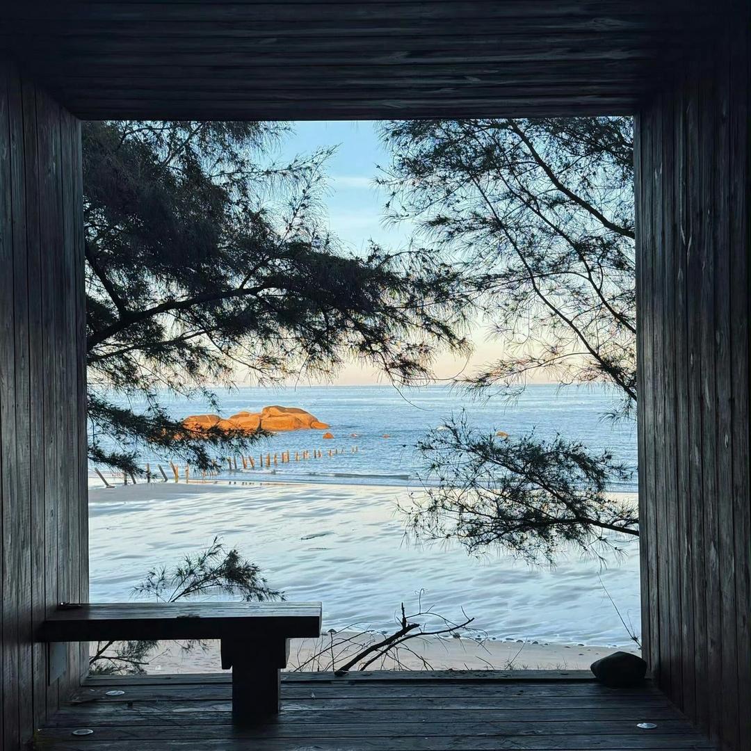 不喝露水仙女ss