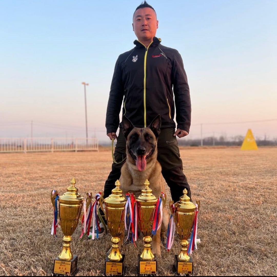 鲍龙—爱唯训犬俱乐部