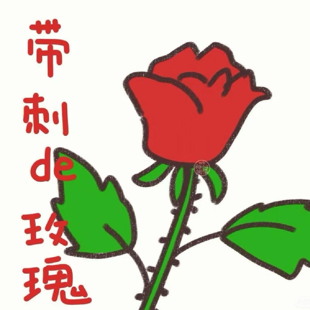仙女阿姨