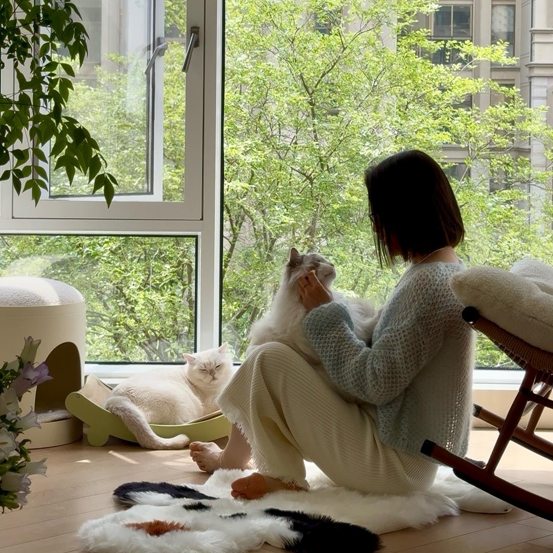 猴老懒🐒