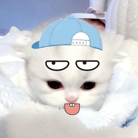 TvT