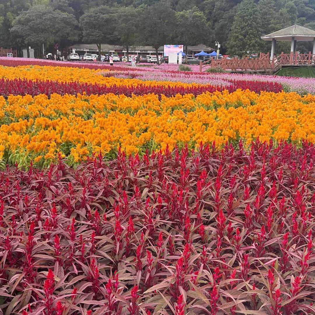 事缓则圆 轻松生活
