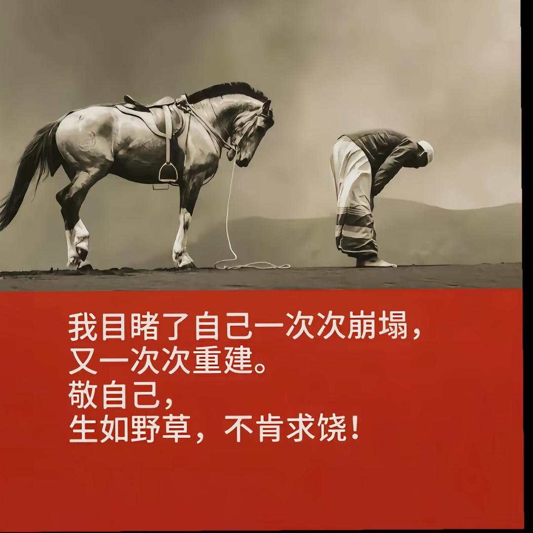 自由飞翔的胖儿