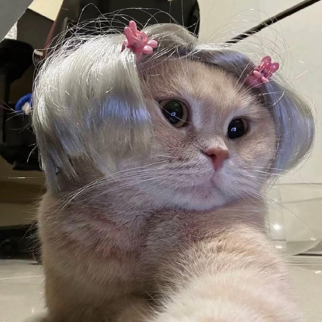 某琪