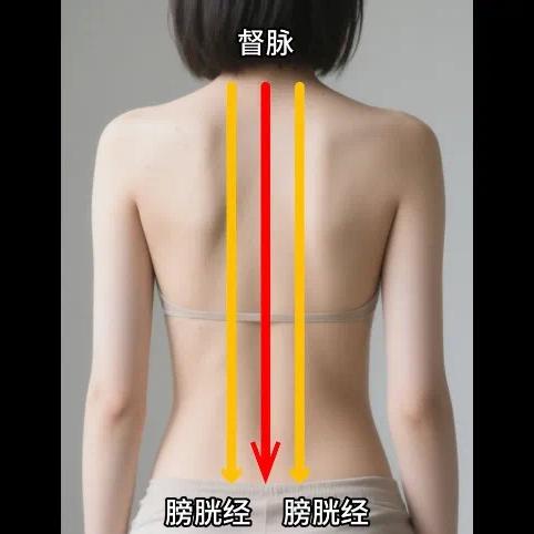 玺品康