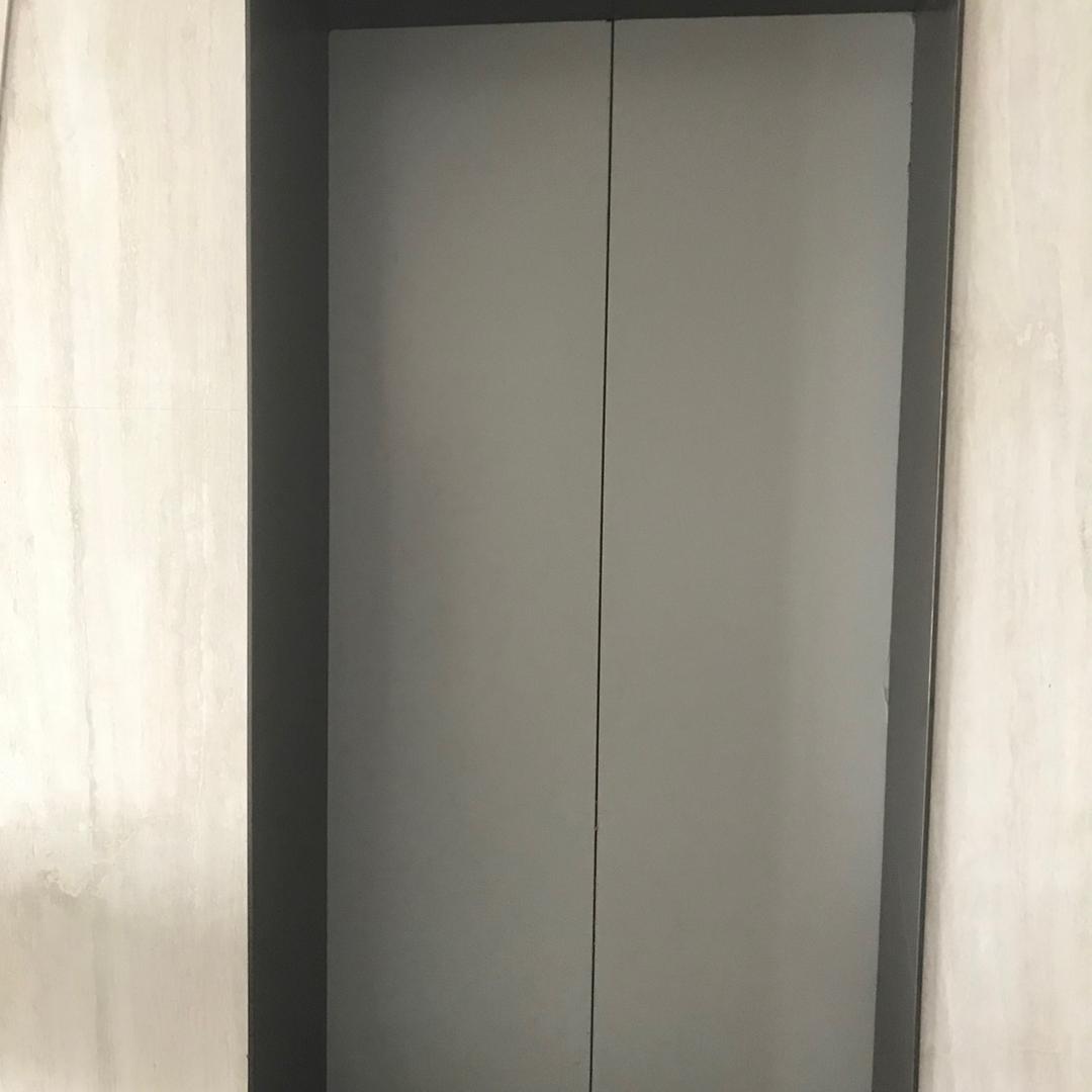 上海大状探花