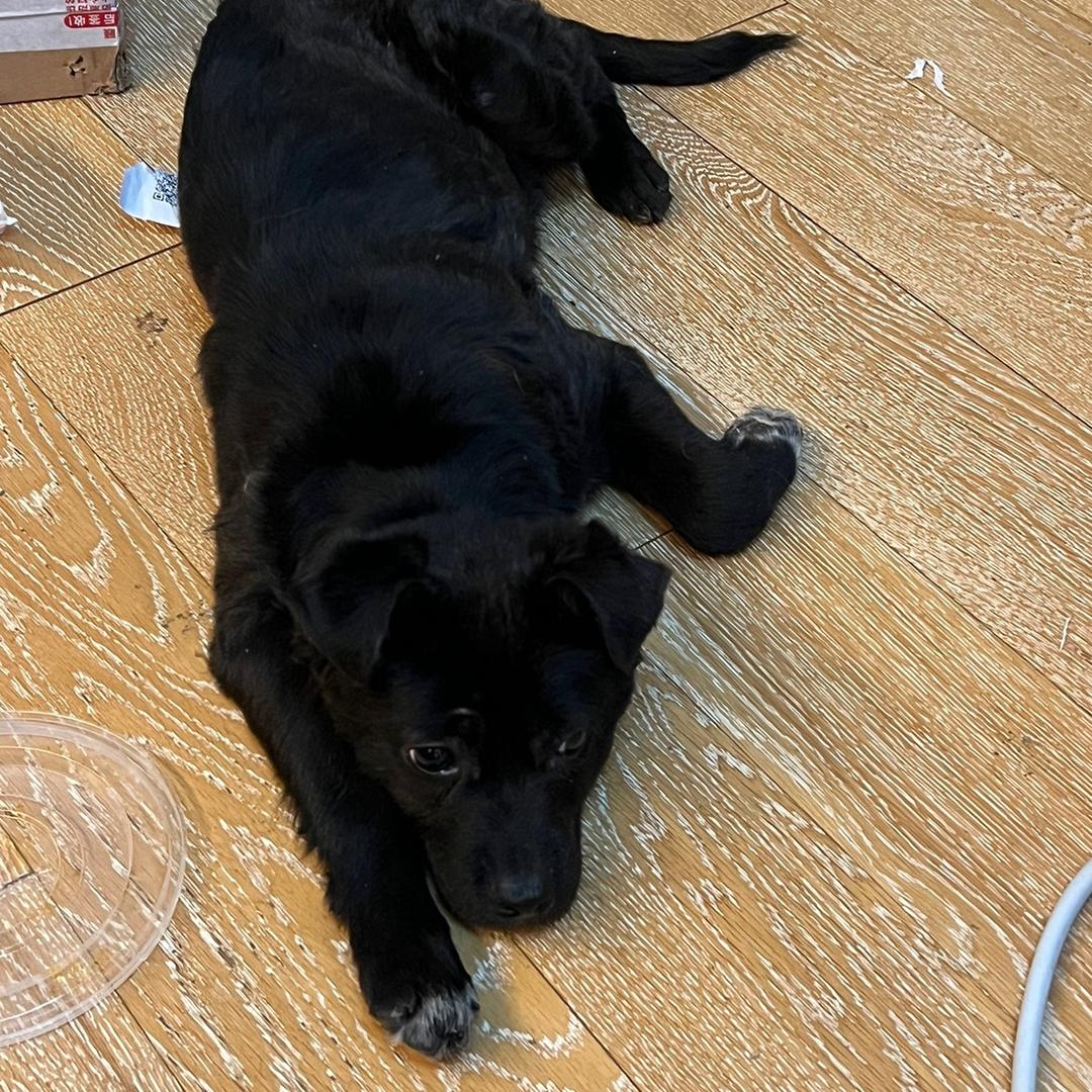 哈哈哈啊哈哈哈123