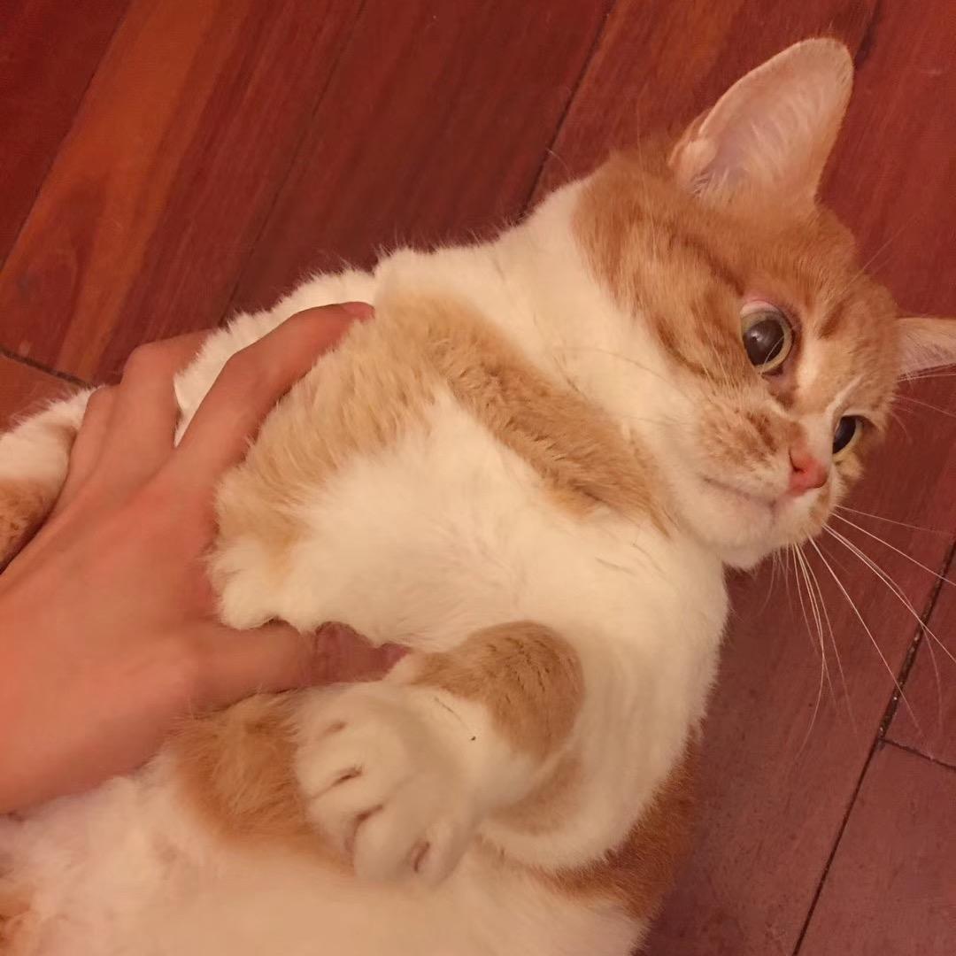 石也昭昭