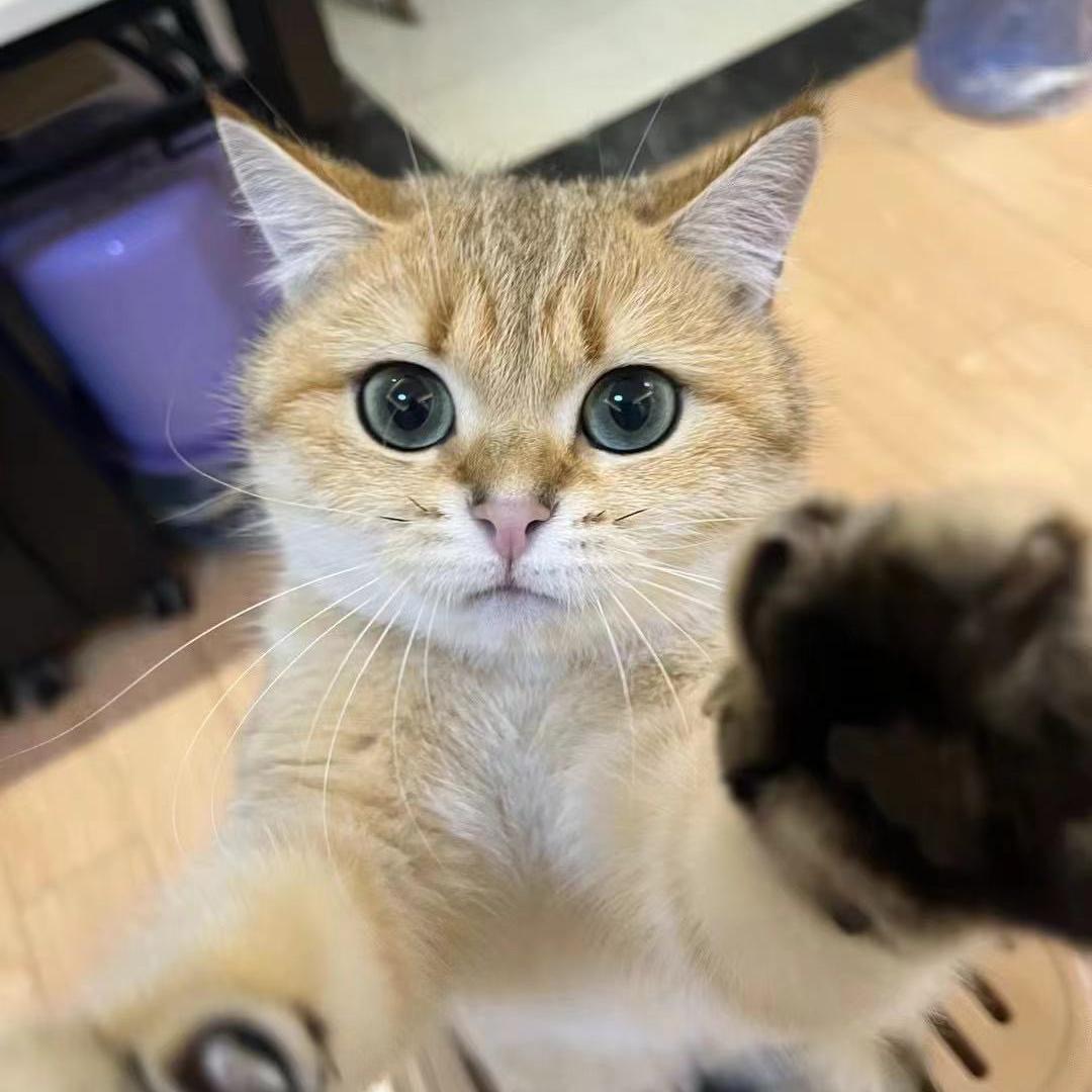 博朗个护精品店