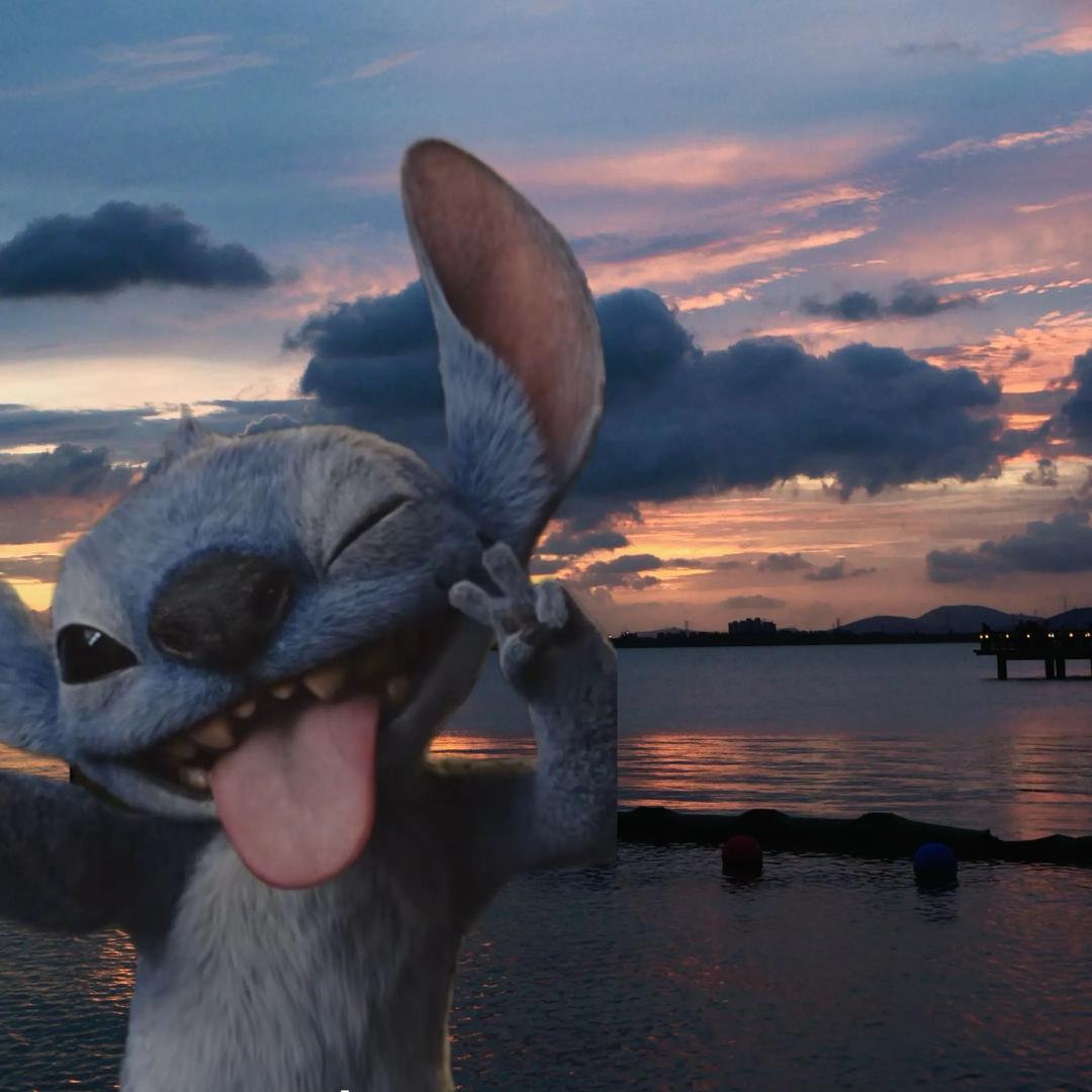 Stitch♥
