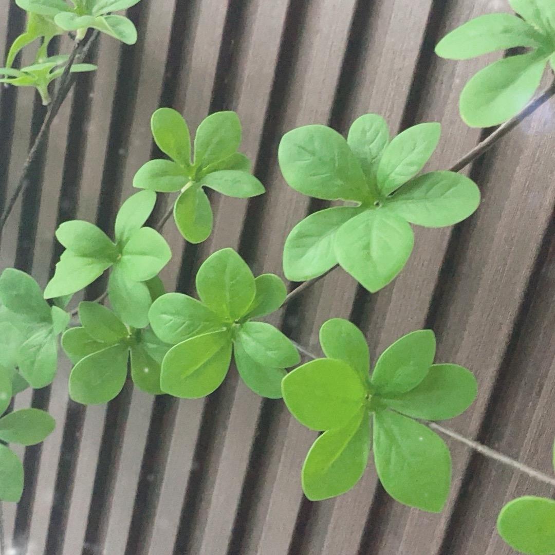 当舟好物分享