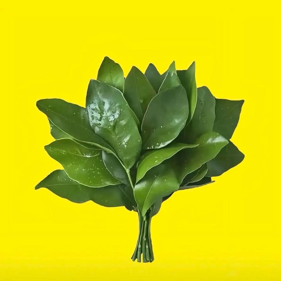 再睡十分钟ᵈᵁ