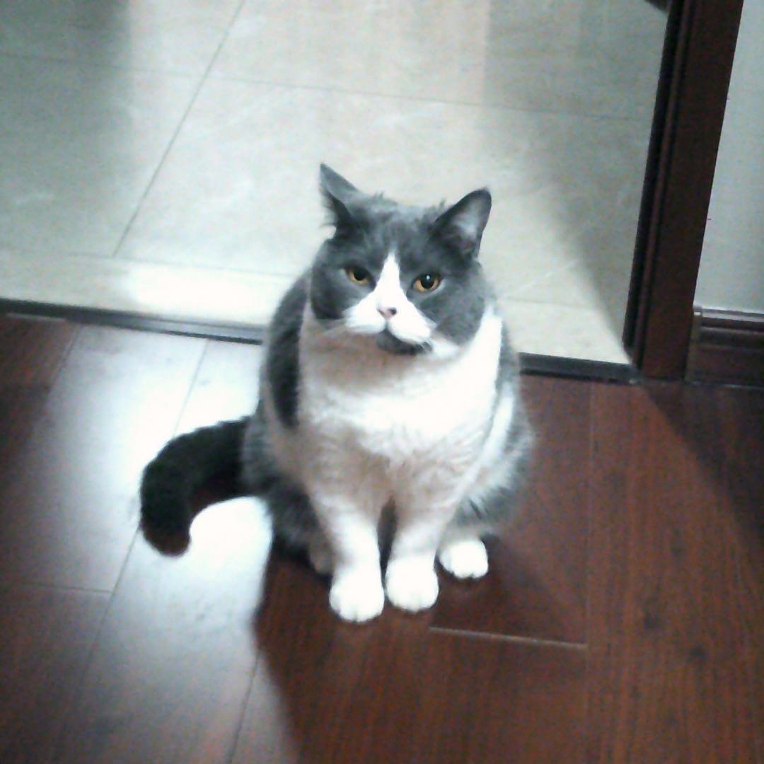 相宁