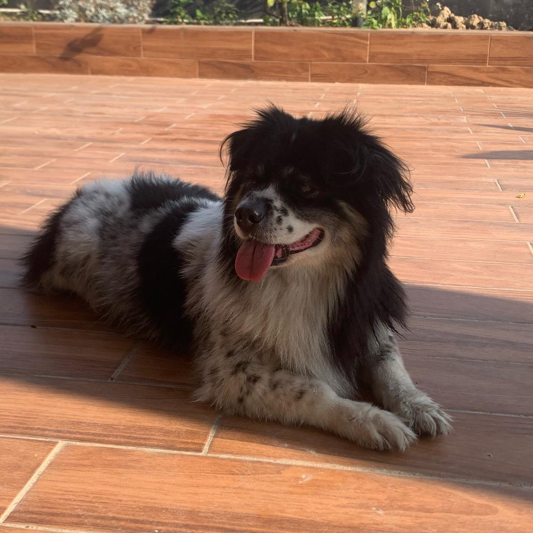 氢氧化钠中和一下下