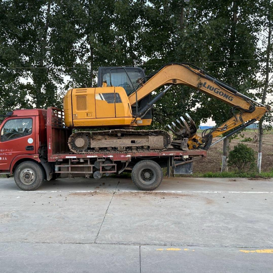 赵阳清理荒废树园，抓木器