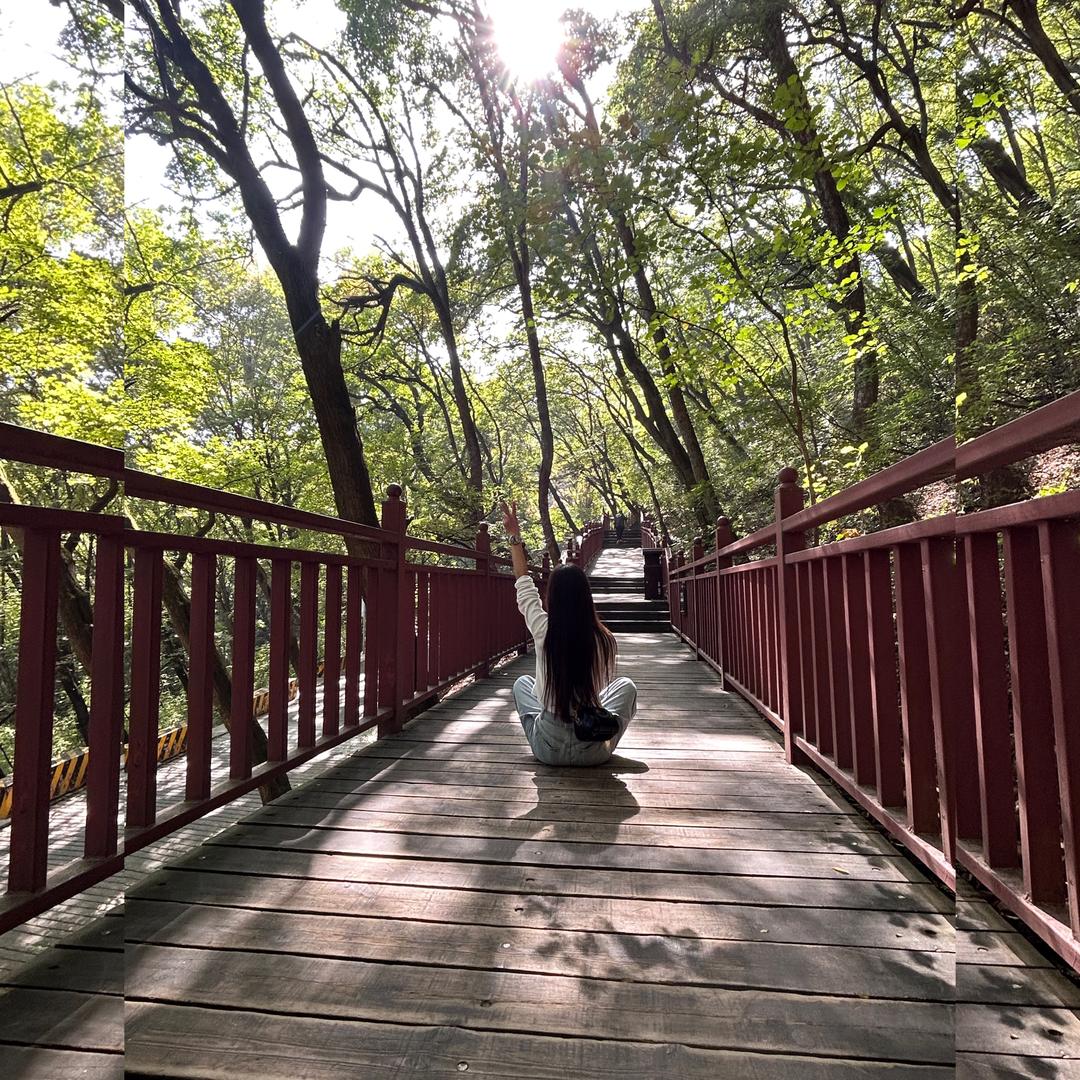 燕ᩚY•͈ᴗ•͈anᰔᩚ🕊