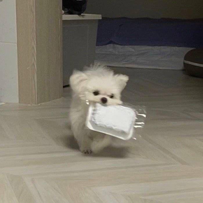 小别别玩了